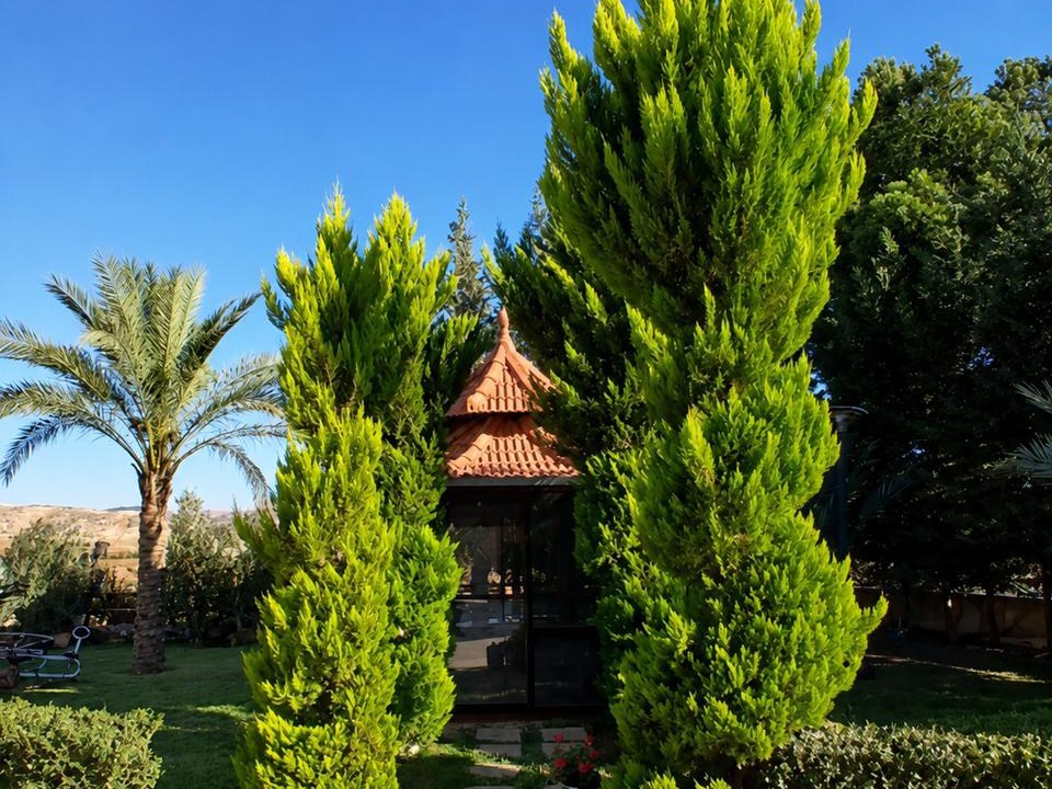 Tall cypress trees framing a garden gazebo, Machgara