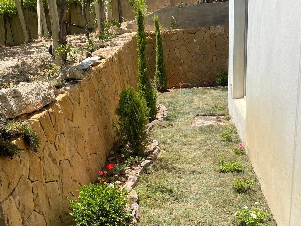 A terraced stone-walled garden with young cypress and a grapevine trellis, Zahle