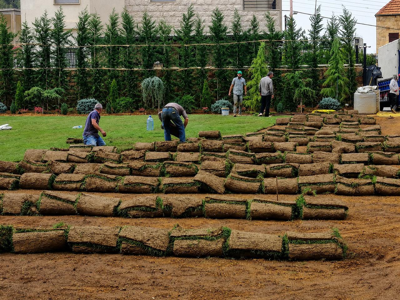 Rolls of turf being laid on site with the Bekaa mountains behind, Zahle